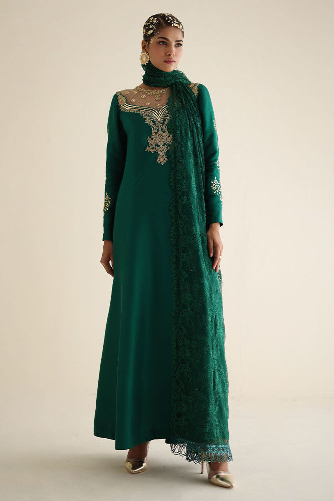 Picture of AY-2 - Chantilly Embellished Dupatta