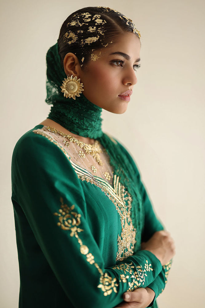 Picture of AY-2 - Chantilly Embellished Dupatta