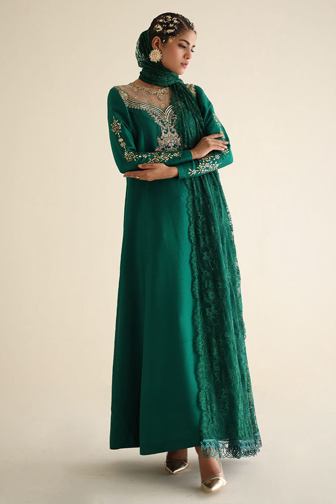 Picture of AY-2 - Chantilly Embellished Dupatta