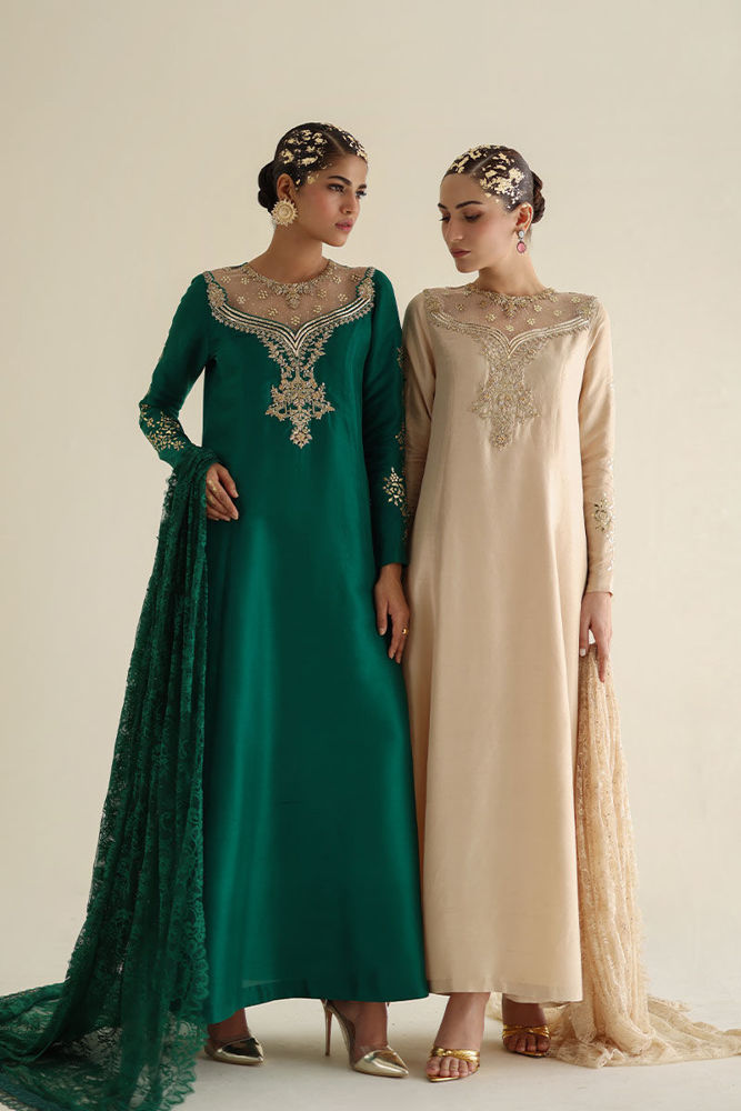 Picture of AY-2 - Chantilly Embellished Dupatta