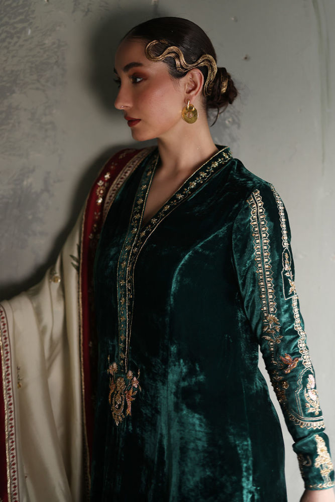 Picture of VV-34 - Shawl only