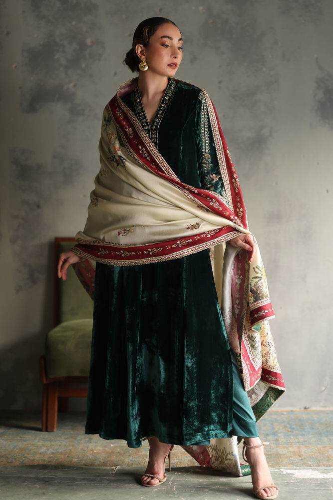 Picture of VV-34 - Shawl only