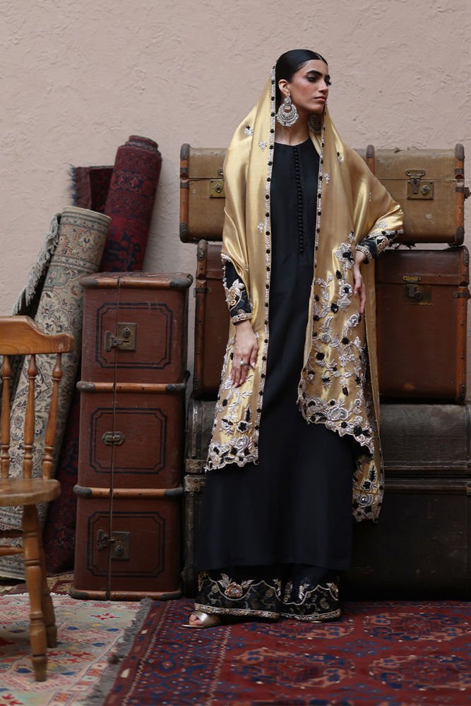 Picture of L25-21 - Medium Silk Dupatta and work on the Borders.